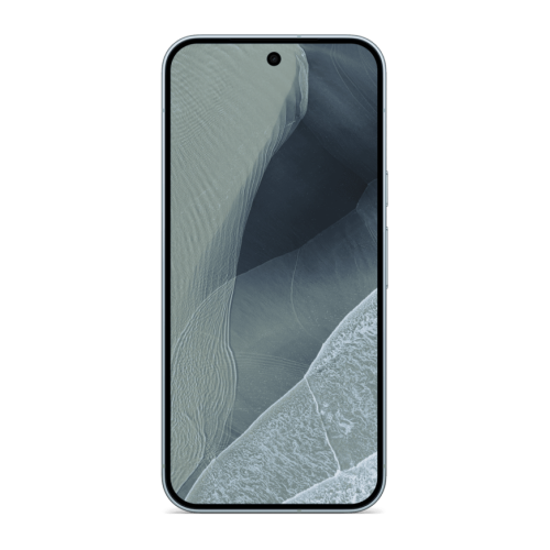 Google Pixel 11 Pro XL 12 GB / 256 GB (Fog)