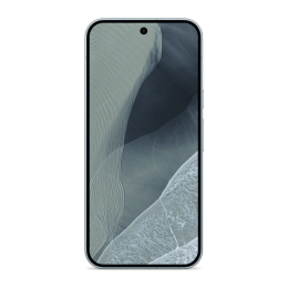Google Pixel 11 Pro XL 16 GB / 512 GB (Fog)