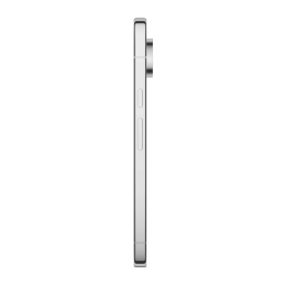Google Pixel 11 Pro XL 16 GB / 512 GB (Fog)