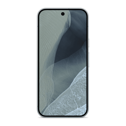 Google Pixel 11 Pro 12 GB / 256 GB (Fog)