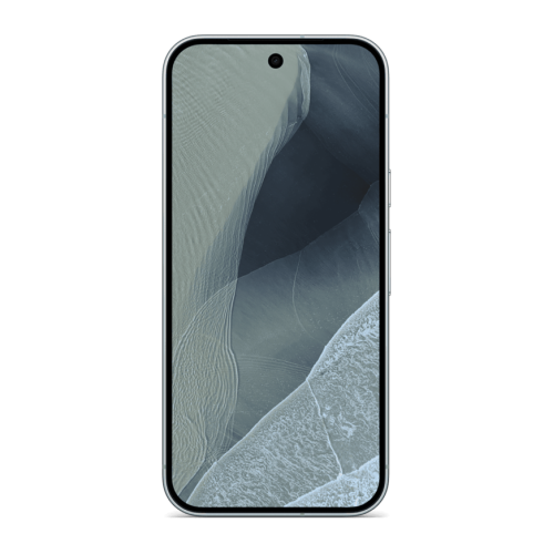 Google Pixel 11 Pro 12 GB / 256 GB (Fog)