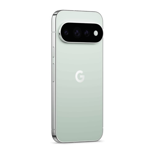 Google Pixel 11 Pro 12 GB / 256 GB (Fog)
