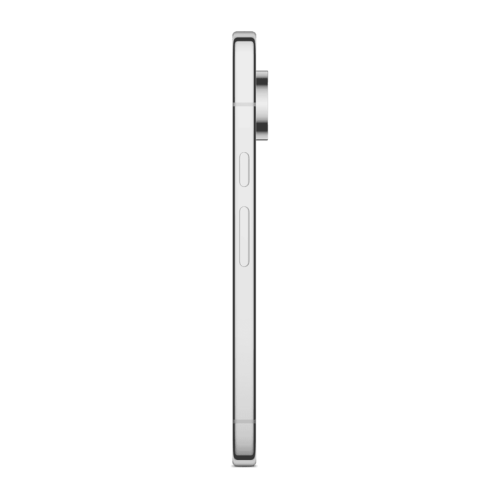 Google Pixel 11 Pro 12 GB / 256 GB (Fog)