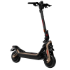 Электросамокат Segway Ninebot GT3 Pro (Black)