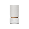 Акустическая система Bang & Olufsen Beosound Balance (White Marble)