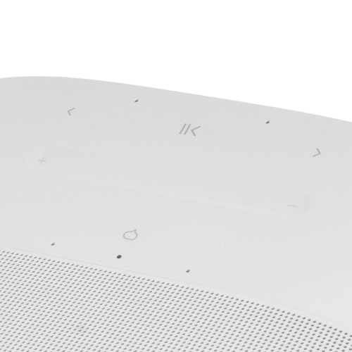 Акустическая система Sonos Era 300 (White)