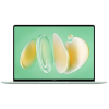 HUAWEI MateBook 14 FLMH-X 53014QLH (Intel Core Ultra 5 125H, 16 GB / 1 TB) Green